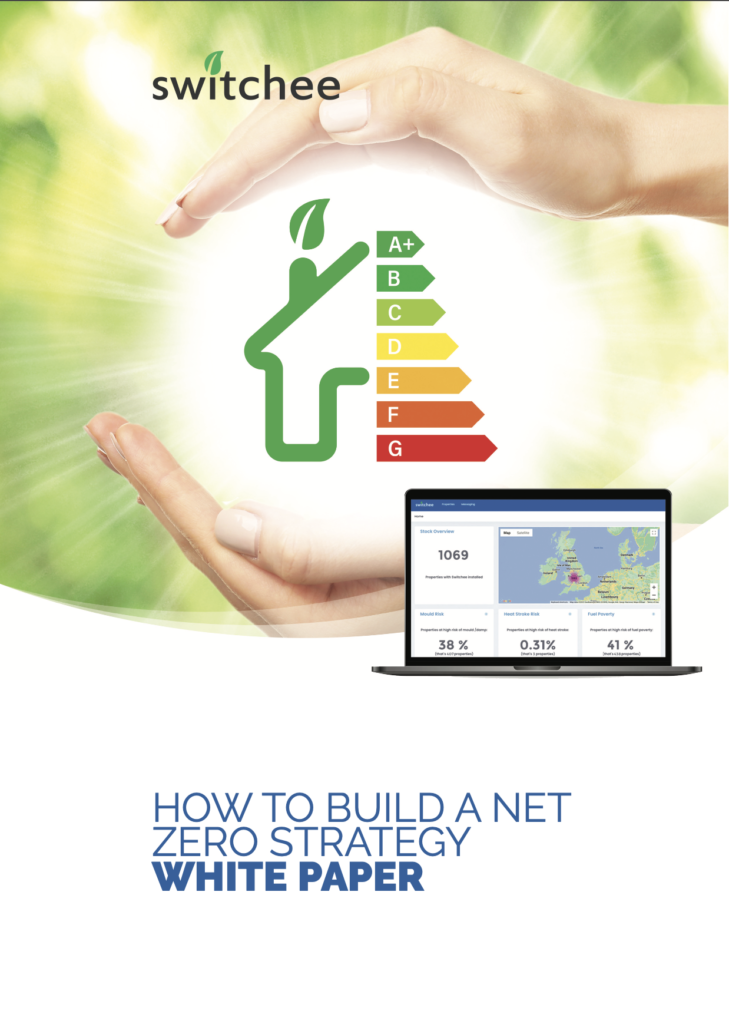 How To Build A Net Zero Strategy